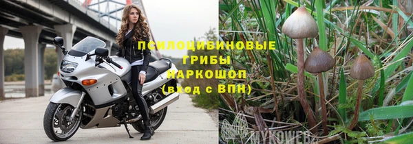 мяу мяу мука Аркадак