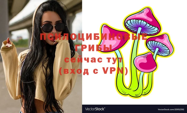 прущая мука Армянск