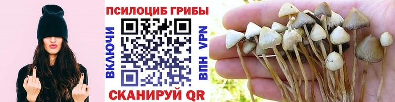 Псилоцибиновые грибы мухоморы Нижний Ломов
